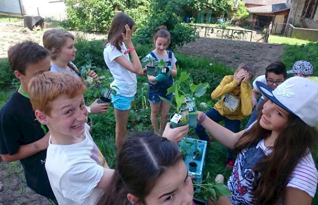 Die Primarschüler freuen sich auf die Arbeit im Schulgarten.