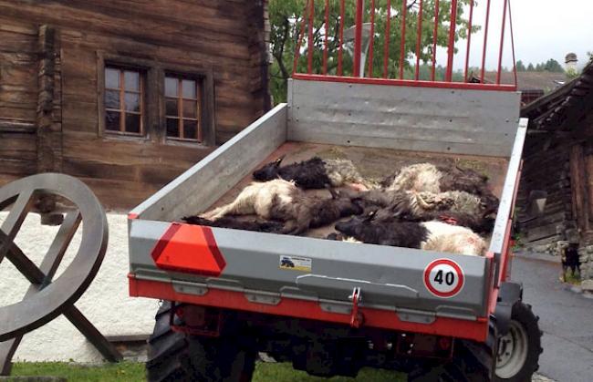 Die gerissenen Ziegen wurden aus Protest mitten auf dem Dorfplatz deponiert.