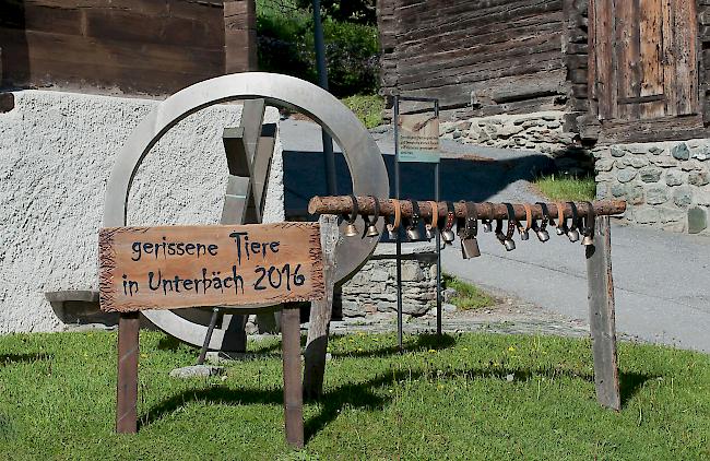 «Ein Zeichen setzen»: Für jedes gerissene Tier hängt nun auf dem Dorfplatz von Unterbäch eine Treichel. 