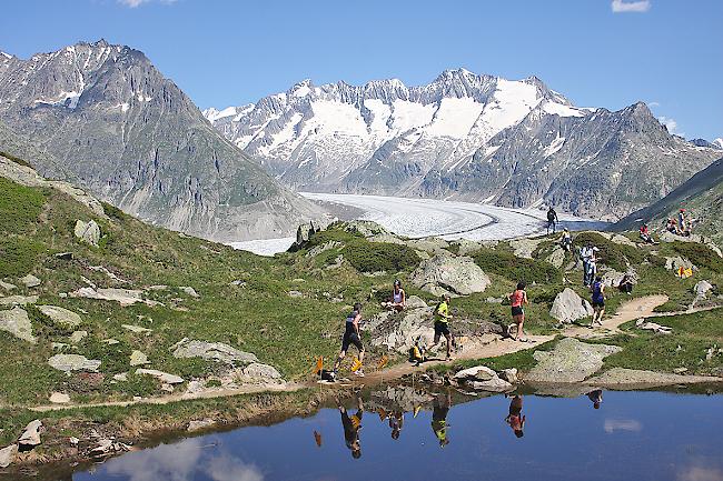 Läufer beim letztjährigen Halbmarathon vor dem Aletschgletscher.