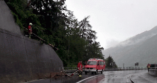 Auf der Br&uuml;cke bei Gampel-Steg st&uuml;rzte ein Baum auf die Kantonsstrasse.