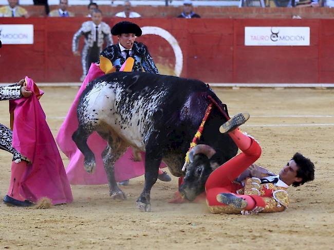 Tödlicher Unfall im spanischen Teruel: Beim Kampf mit einem Stier ist ein 29-jähriger Torero getötet werden - der erste seit 1985.