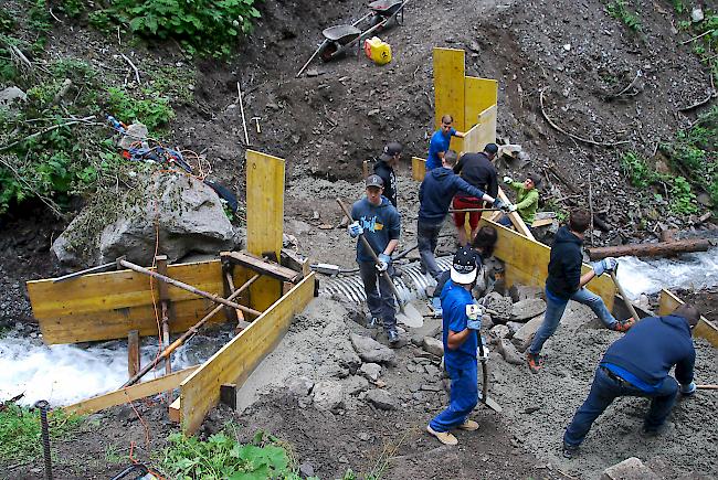 Auf dem Waldweg oberhalb von Blitzingen wird eine Brücke ganzjahrestauglich gemacht.