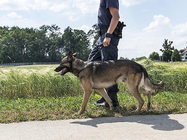 Drogenspürhund Sombra hat bereits rund 300 Einsätze absolviert. (Symbolbild)