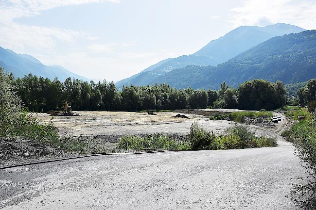 Im Leukerfeld finden grosse Aufschüttungsarbeiten statt. Bei dafür nötigen Rodungen wurden offenbar viele Vögel getötet.