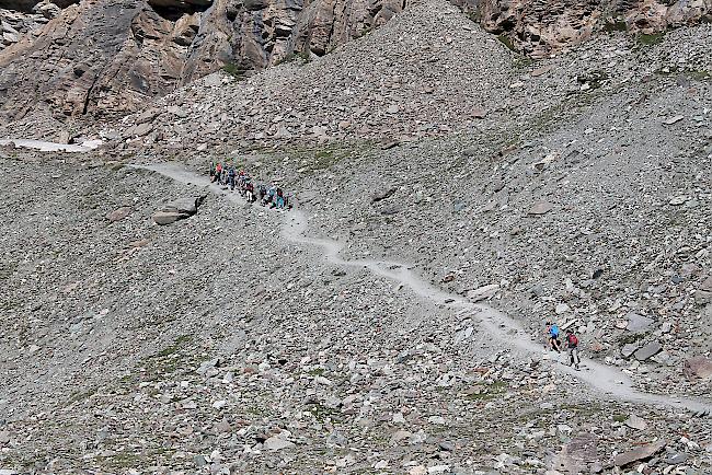 Rund 80 Prozent der Matterhornbesteigungen erfolgen über den Hörnligrat. 