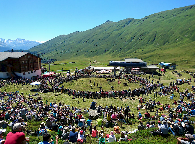 Impressionen des Sommerstechfests auf der Belalp.