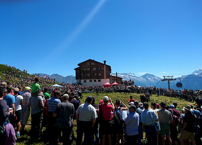 Impressionen des Sommerstechfests auf der Belalp.