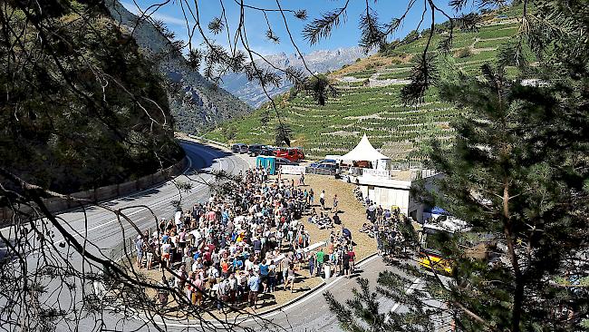 Für François Zimmermann, Geschäftsführer von Heidadorf Visperterminen Tourismus war auch die diesjährige Weinwanderung in Visperterminen ein voller Erfolg.