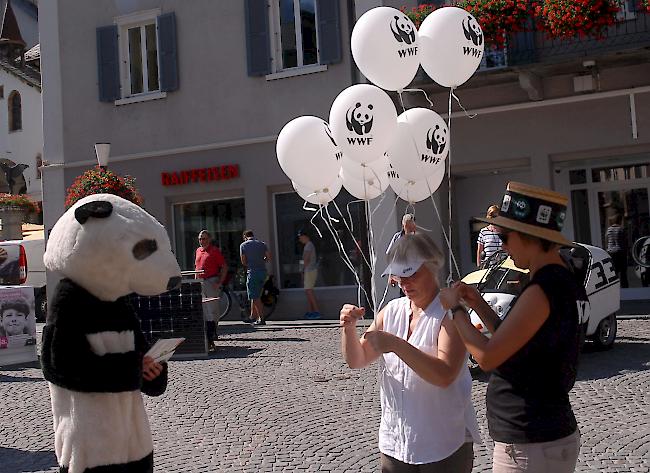 Impressionen vom Briger Solarmarkt des WWFs.