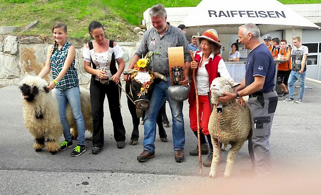 Impressionen vom Alpabzug der Alpe Pletschen.