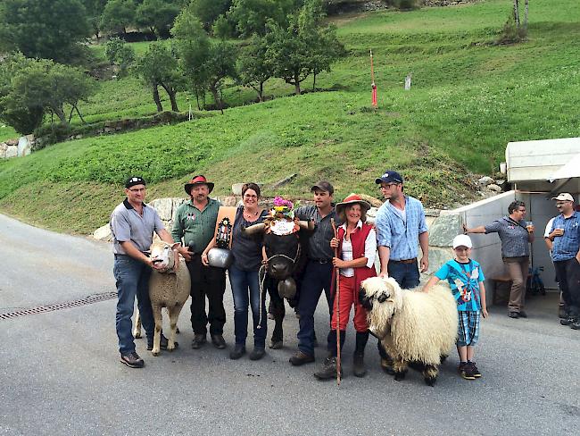 Impressionen vom Alpabzug der Alpe Pletschen.