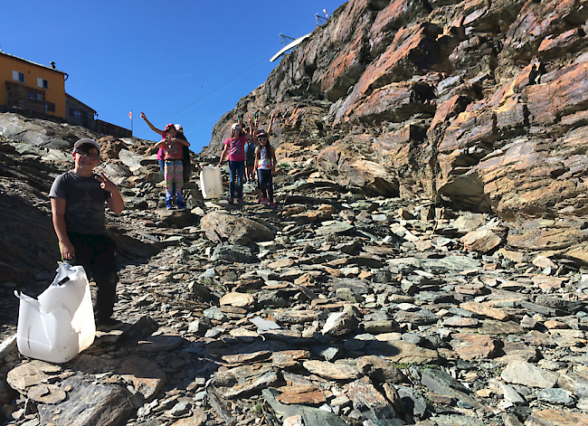 Eine ganze Schulklasse mit 20 Kindern sowie zwei weitere Gruppen mit freiwilligen Helfern räumten die Umgebung der Berghütten auf. So wurde bei der Gandegg-, Monte Rosa- sowie Schönbielhütte über 2,5 Tonnen Kehricht gesammelt und von der Air Zermatt gratis ins Tal geflogen.