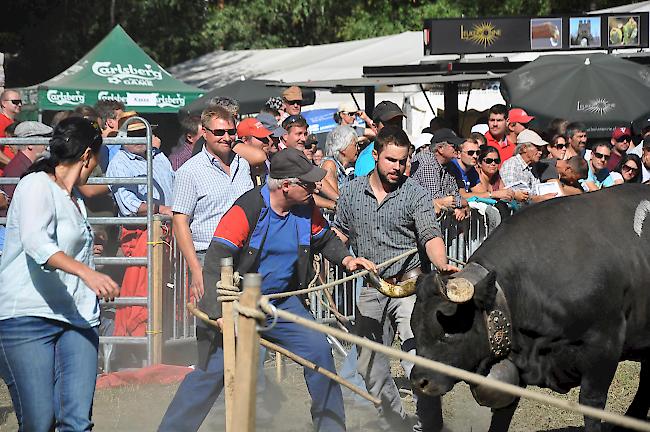 SVP-Nationalrat Toni Bruner war mit seiner «Veielette» in Raron am Start. 