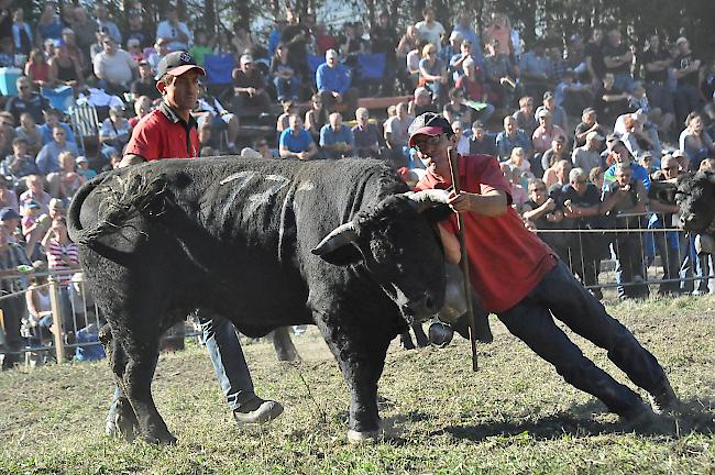 Eindrücke aus Raron