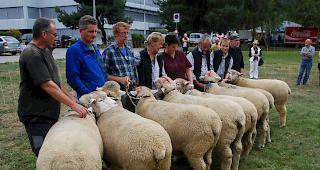 Eindr&uuml;cke der Finalrunden am Interkantonalen.