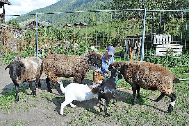 Jolanda Schwegler kümmert sich liebevoll um ihre Tiere.