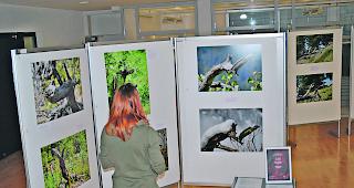 Spannend. Eine Begegnung mit Max Waibels &laquo;merkw&uuml;rdigen Gestalten&raquo; in der Mediathek Wallis-Brig garantiert spannende Augenblicke.  