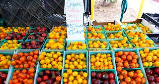 &laquo;Alles Tom&auml;tchen, keine Kirschen!&raquo;