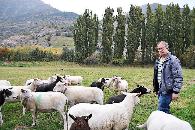Herbert Volken, Präsident der Schweizerischen Milchschafzüchter, empfängt diese Woche Kollegen aus dem deutschsprachigen Europa.