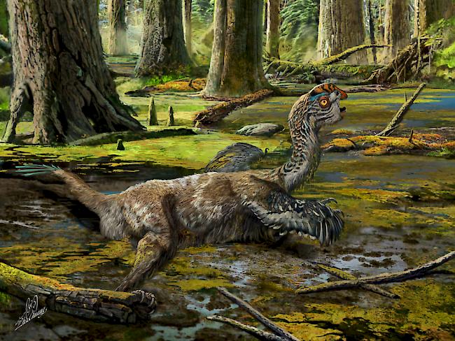 So könnte der Todeskampf von Tongtianlong limosus ausgesehen haben. Sein Fossil wurde in ungewöhnlicher Stellung gefunden: platt auf dem Bauch, alle Viere von sich gestreckt und mit erhobenem Kopf. (Illustration)