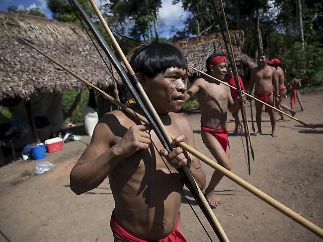Angehörige des Yanomami-Volkes im Amazonas-Gebiet: Ureinwohner haben sechs Goldsucher mit Pfeilen getötet. (Symbolbild)