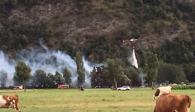 Am 27. Juli musste ein Grossaufgebot der Feuerwehr Raron-Niedergesteln einen Flächenbrand östlich von Raron löschen.