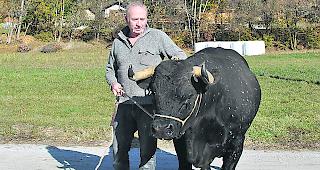 Jean Moulin mit Rubis &ndash; die nationale K&ouml;nigin ist jetzt auch Alpk&ouml;nigin.