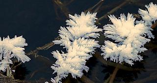 Eisige Pracht. Das Oberwallis wird derzeit von einer K&auml;ltewelle heimgesucht.