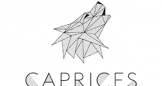 Elektronische Musik am Caprices Festival.