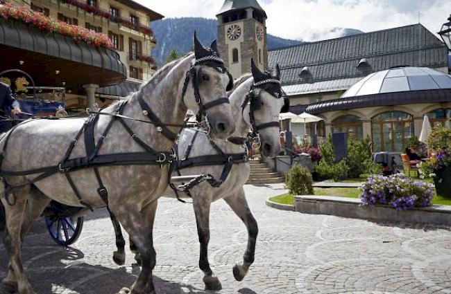Eine Drohne scheuchte gestern zwei Pferde des Grand Hotel Zermatterhof auf. Beim anschliessenden Sturz musste ein Tier aufgrund der Verletzungen eingeschläfert werden (Symbolbild).