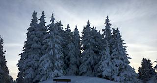 Am Freitag gab es grosse Mengen an Schnee in der Region. (Symbolbild)