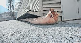 Noch liegt das &laquo;Alphorn&raquo; im Schlossgarten, bald soll es aber wieder vor der UBS stehen.