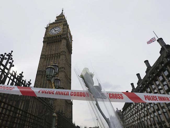 Eine weisse Rosse vor dem Parlamentsgebäude in London: Zeichen der Anteilnahme am Tag nach dem Anschlag. (Archiv)