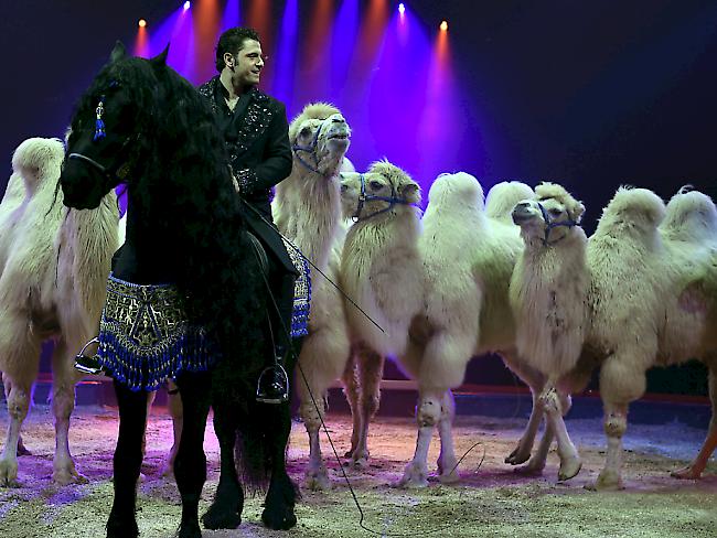 Maycol Errani mit seinem Programm an der Generalprobe des Circus Knie in Rapperswil SG (KEYSTONE/Walter Bieri)