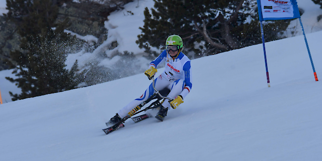 Am Samstag ging in Grächen mit dem Riesenslalom das letzte Rennen der Snowbike-WM über die Bühne.