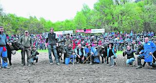 Mittelschwere Rinder. Die Besitzer von &laquo;Toscana&raquo;, &laquo;Schakira&raquo;, &laquo;Ladina&raquo; und &laquo;Pistache&raquo; einigten sich auf den geteilten 1. Rang  &ndash;  obwohl noch jedes der Tiere Aussicht auf den alleinigen Sieg hatte.  