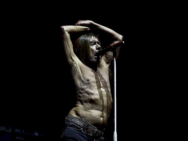 "Der am besten wiedererkennbare Musiker" Iggy Pop wird heute 70. (Archivbild 2016)