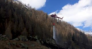 Helikopter im Einsatz. Ein &Uuml;bergreifen auf den nahe liegenden Wald konnte verhindert werden.