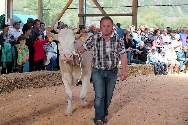 Präsentation der Kategoriensiegerinnen. 