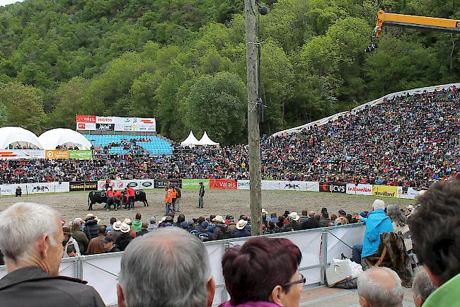 Die Zuschauerränge sind am Sonntag in Aproz bis auf den letzten Platz besetzt.