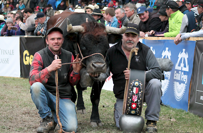 Platz 2 in der Katergorie II: «Diva» aus der Stallung Gsponer aus Lalden.