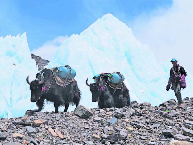 Akklimatisation. Bergführer Klaus Tscherrig weilt seit sechs Wochen im Himalajamassiv zur Vorbereitung für die Besteigung des Mount Everest.