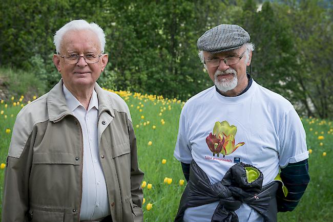 Eduard Imhof (82) aus Grengiols und Alex Agten (68) aus Fiesch.