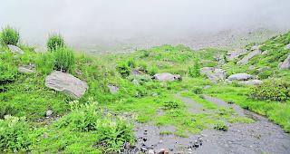 Die Gemeinde Ried-Brig muss neue Abkl&auml;rungen durchf&uuml;hren lassen, will sie die betroffene Quelle neu fassen.