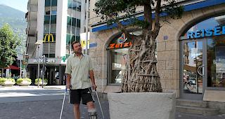 Gemeindeg&auml;rtner Ueli Jordi mit l&auml;diertem Fuss neben dem Riesenbaum-Bonsai an der Visper Bahnhofstrasse.