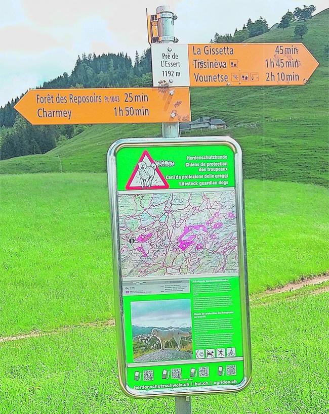 Besucherlenktafeln informieren, in welchen
Gebieten es Herdenschutzhunde gibt.