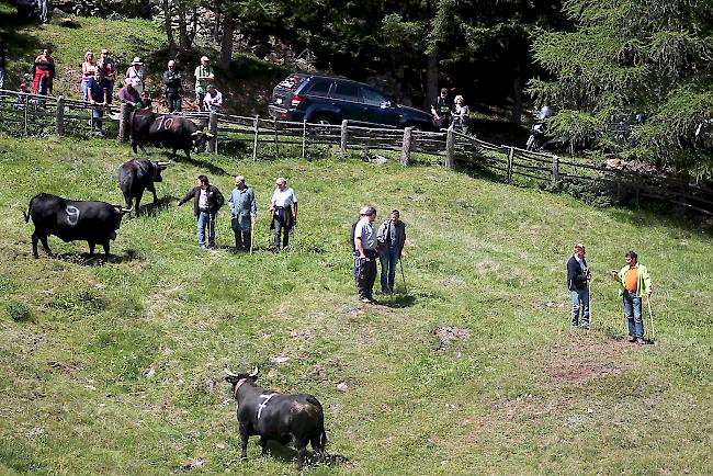 Impressionen vom Tschorr-Fest. 