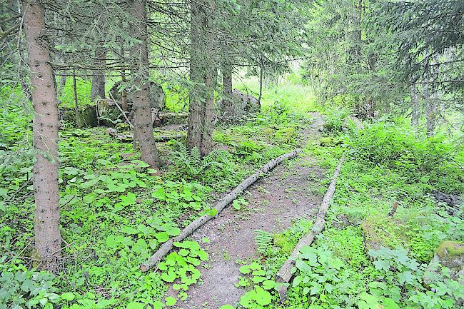 Der alte Weg lässt sich teils im Gelände noch verfolgen.