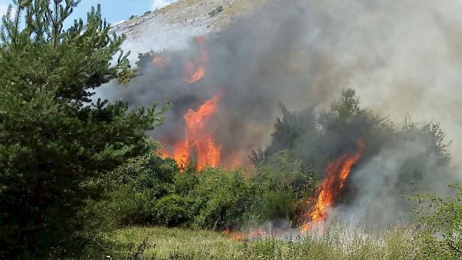 Der starke Wind unterstützte die Ausbreitung der Flammen.